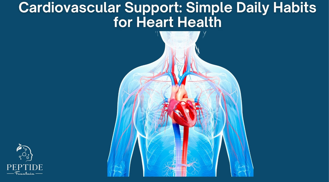 Cardiovascular Support: Simple Daily Habits for Heart Health