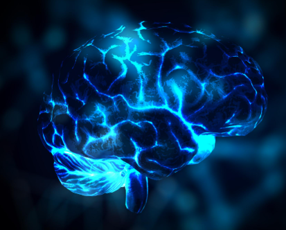 The Neuro-Circuitry of Focus