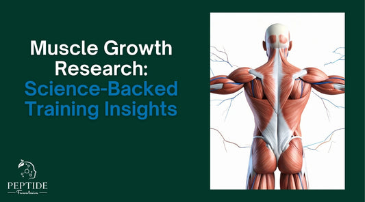 Muscle Growth Research: Science-Backed Training Insights