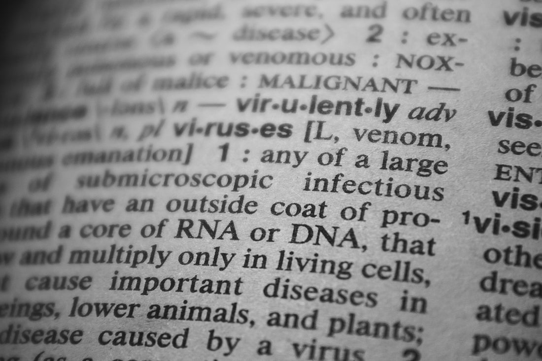 A Masterclass in Human Bio-Evolution