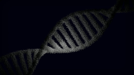 The Proteome Shift Why Researchers Are Moving Beyond DNA Testing in 2026