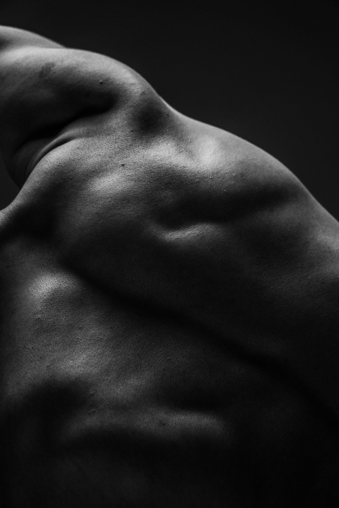 Mitokines and Metabolic Signaling How Muscle and Mitochondria Communicate Across the Body