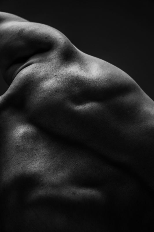 Mitokines and Metabolic Signaling How Muscle and Mitochondria Communicate Across the Body