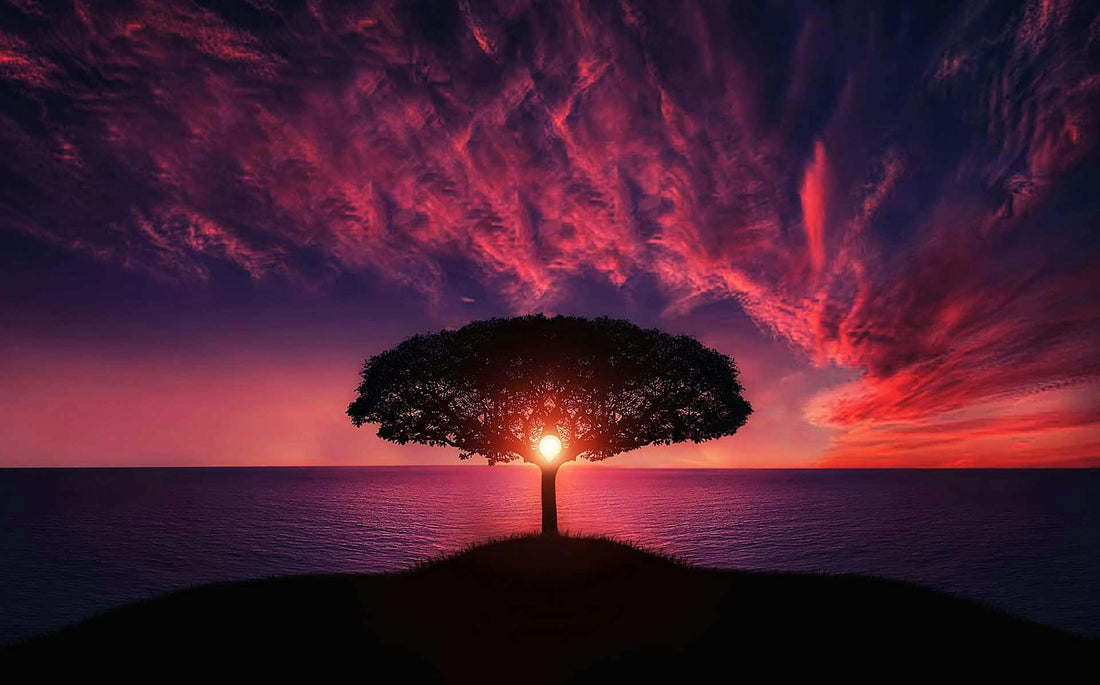 The Anatomy of Awe