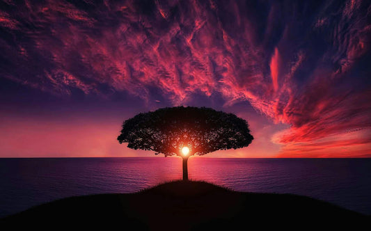 The Anatomy of Awe