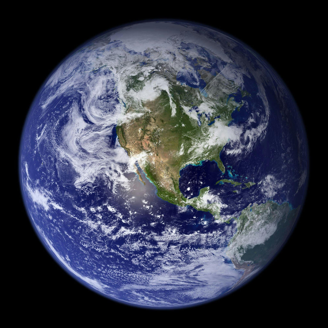 Why the Earth’s Field is a Biological Necessity